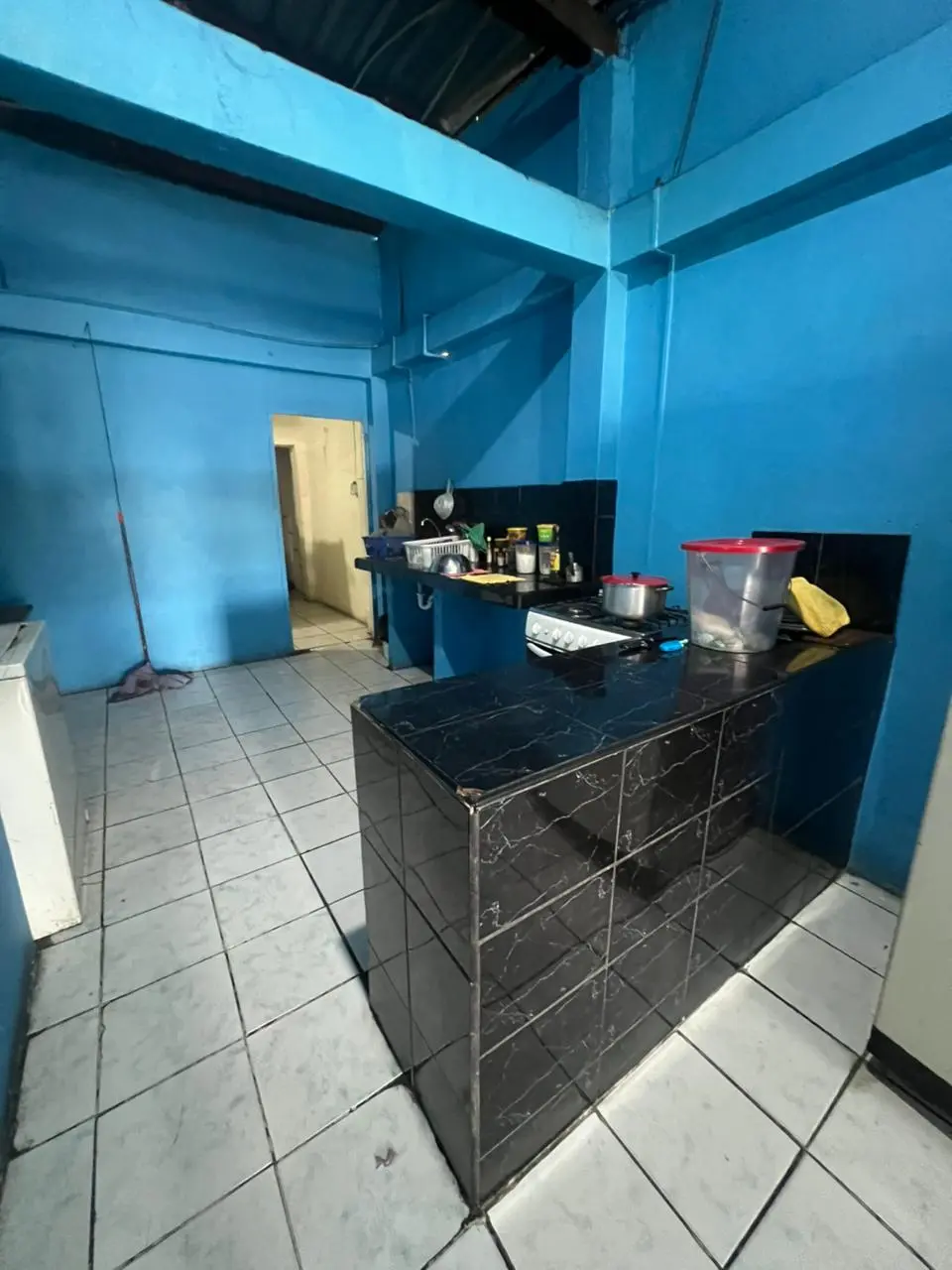 Venta Casa Rentera con 6 departamentos, 2 locales Centro-Sur de Guayaquil