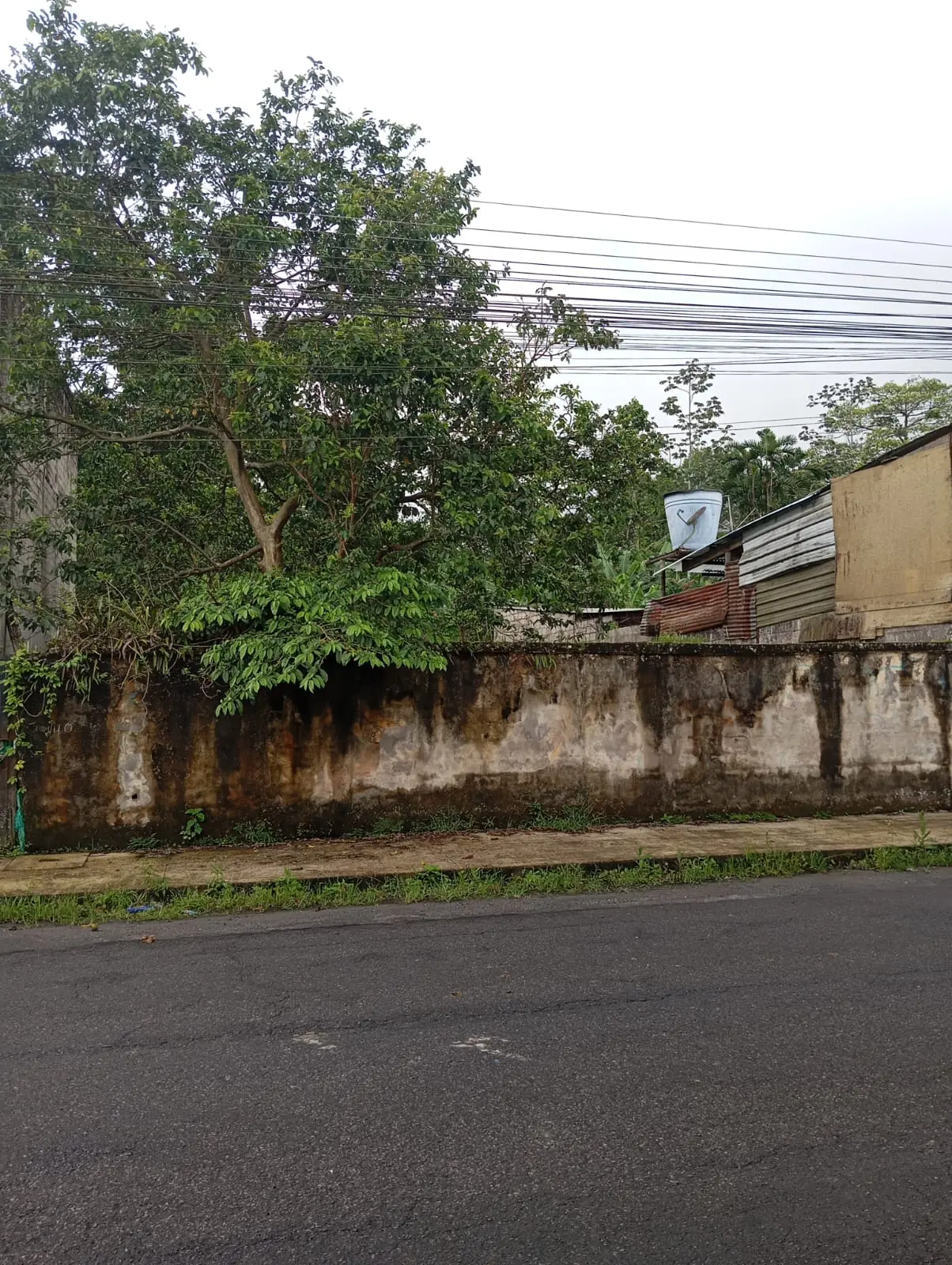 VENTA DE TERRENO SANTO DOMINGO ZOFIN MARIO BENALCAZAR