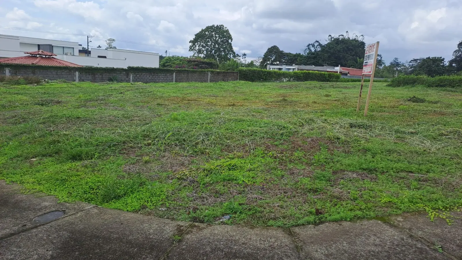 ZOFIN - MARIO BENALCAZAR